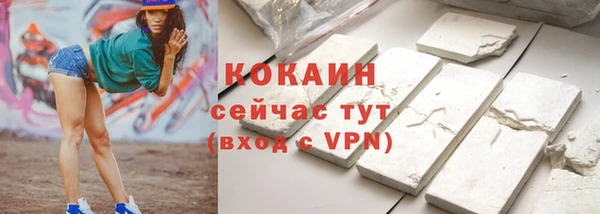 тгк Алзамай