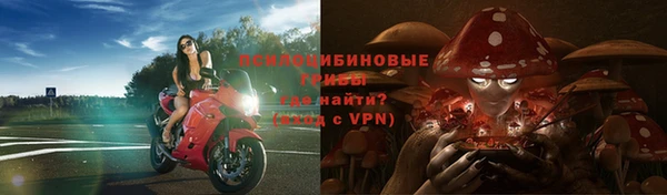 тгк Алзамай